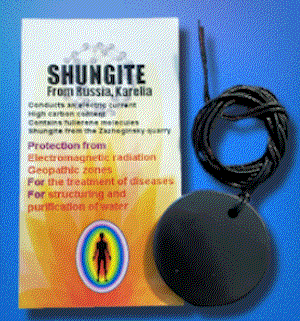Shungite Round Pendant with Insert